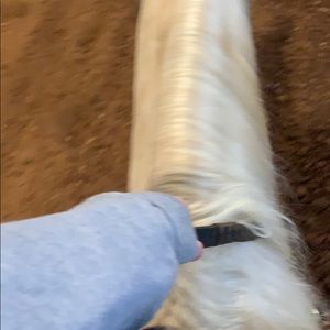 Meet your Posher, Lindley